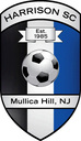 Club crest