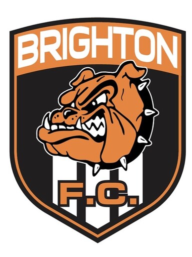Club crest