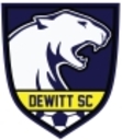 Club crest