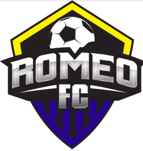 Club crest