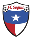 Club crest