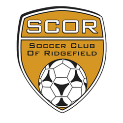 Club crest