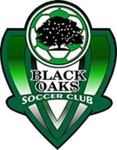 Club crest