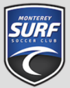 Club crest