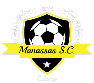 Club crest