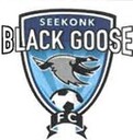 Club crest