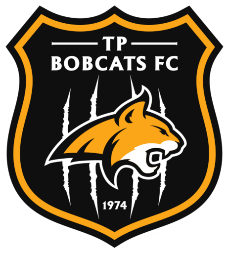 Club crest