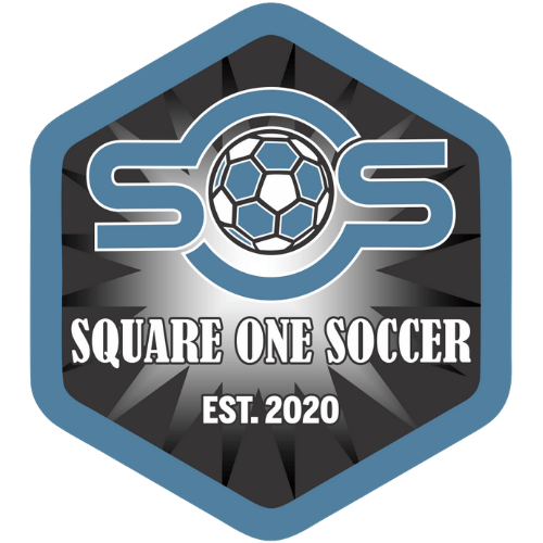 Club crest
