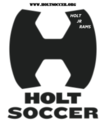 Club crest