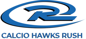 Club crest
