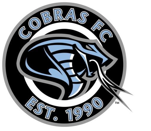 Club crest