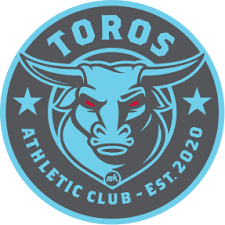 Club crest
