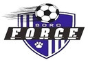 Club crest