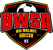 Club crest