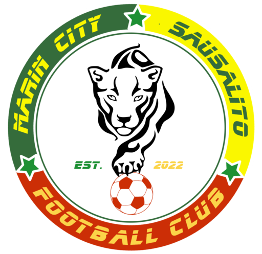 Club crest