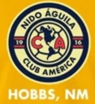 Club crest