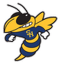 Club crest