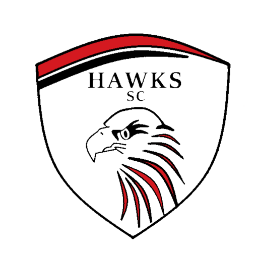 Club crest