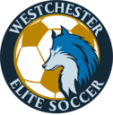 Club crest