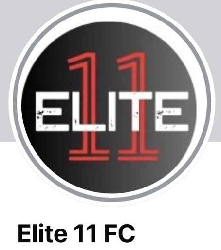 Club crest