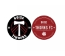 Club crest
