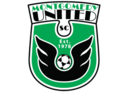 Club crest