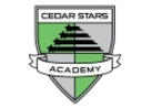 Club crest