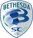 Club crest