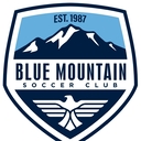 Club crest