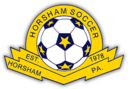 Club crest