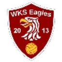 Club crest