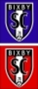 Club crest