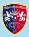 Club crest