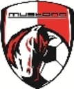 Club crest