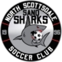 Club crest