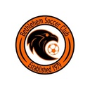 Club crest