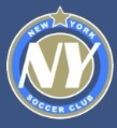 Club crest