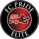 Club crest