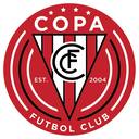 Club crest