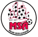 Club crest