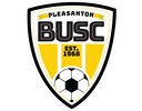 Club crest