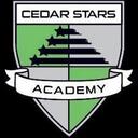 Club crest