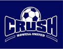 Club crest