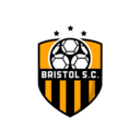 Club crest