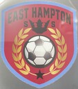 Club crest