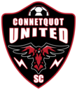 Club crest