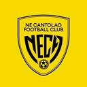 Club crest