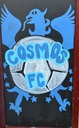 Club crest
