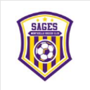 Club crest