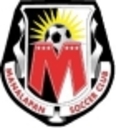 Club crest